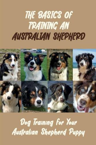 The Basics Of Training An Australian Shepherd