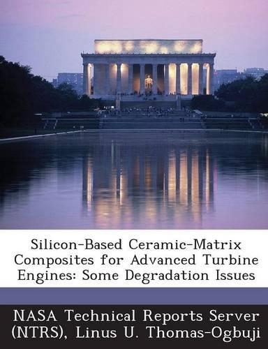 Silicon-Based Ceramic-Matrix Composites for Advanced Turbine Engines: Some Degradation Issues