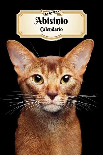 2020 Abisinio Calendario: 107 Páginas - Tamaño A5 - Planificador Semanal - 12 Meses - 1 Semana en 2 Páginas - Agenda Semana Vista - Tapa Blanda - Gato