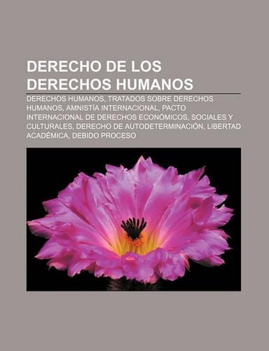 Derecho de Los Derechos Humanos: Derechos Humanos, Tratados Sobre Derechos Humanos, Amnistia Internacional