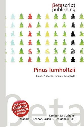 Pinus Lumholtzii