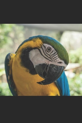 Ara: Notizbuch / Tagebuch Ara Vogel - DIN A5 120 Seiten punktiert / Punkteraster - Papagei Geschenke