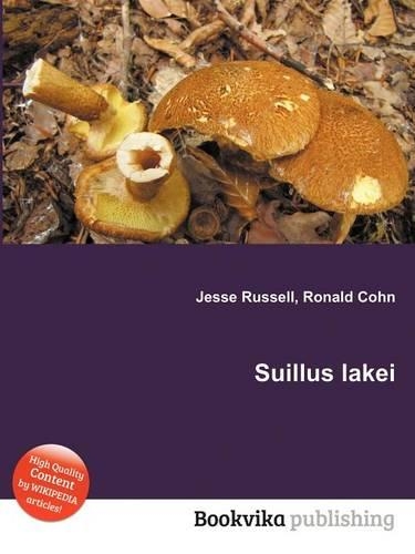 Suillus Lakei