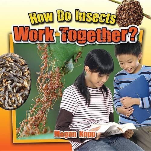 How Do Insects Work Together?: (Insects Close-Up)