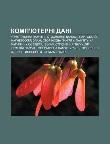 Komp'yuterni Dani: Komp'yuterna Pam'yat, Stysnennya Danykh, Hihant.S Kyy Mahnetoopir, DRAM, Storinkova Pam'yat