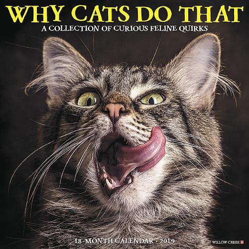 Why Cats Do That 2019 Wall Calendar