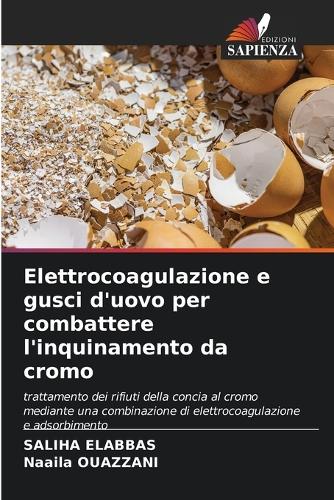 Elettrocoagulazione e gusci d'uovo per combattere l'inquinamento da cromo