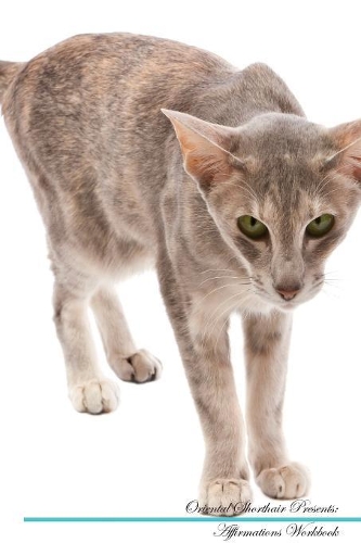 Oriental Shorthair Affirmations Workbook Oriental Shorthair Presents: Positive and Loving Affirmations Workbook. Includes: Mentoring Questions, Guidance, Supporting You.