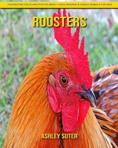 Roosters: Fascinating Facts and Photos about These Amazing & Unique Animals for Kids