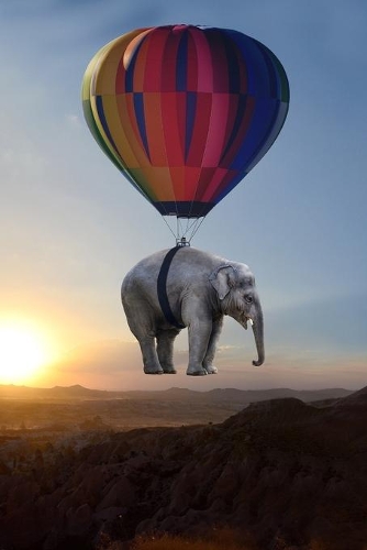 Elephant notebook - achieve your goals, perfect 120 lined pages #1: (1 Elephant Notebooks)