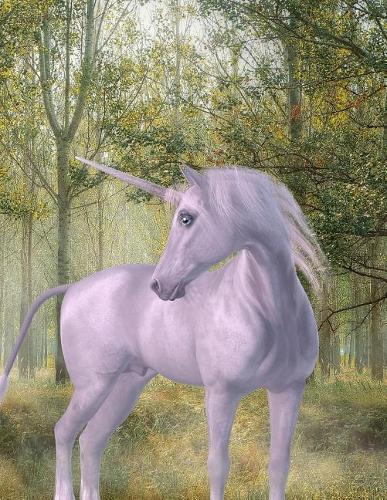 Unicorn Notebook: Dot Grid Notebook Journal 8.5 x 11 202 Pages