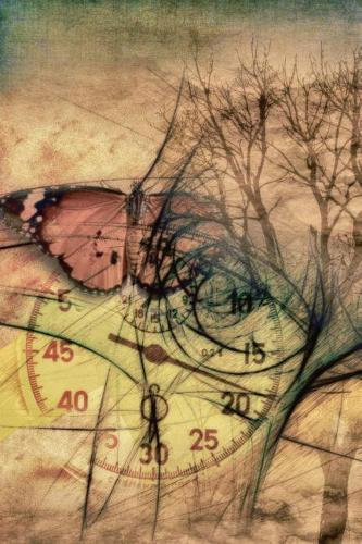 Collage Art Clock Butterfly Vintage Journal: Unlined Sketchbook Notebook, No Lines Art Journal, Creative Drawing Book 6 X 9 120 Unruled Pages, Artist Sketch Book, Blank Daily Journal, (Butterfl