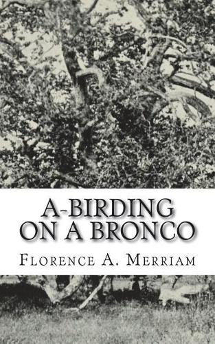 A-Birding on a Bronco