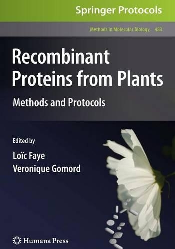 Recombinant Proteins From Plants
