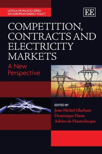 Competition, Contracts and Electricity Markets: A New Perspective(Loyola de Palacio Series on European Energy Policy)