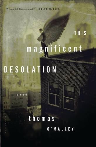 This Magnificent Desolation