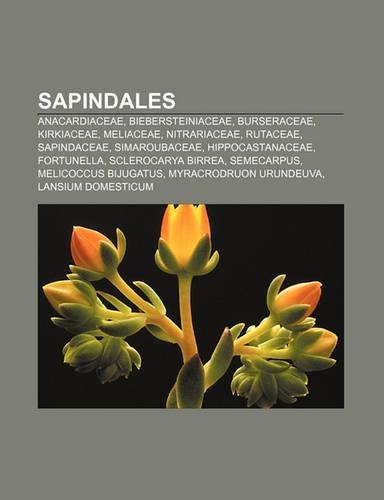 Sapindales: Anacardiaceae, Biebersteiniaceae, Burseraceae, Kirkiaceae, Meliaceae, Nitrariaceae, Rutaceae, Sapindaceae, Simaroubace