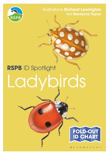 RSPB ID Spotlight - Ladybirds: (RSPB)