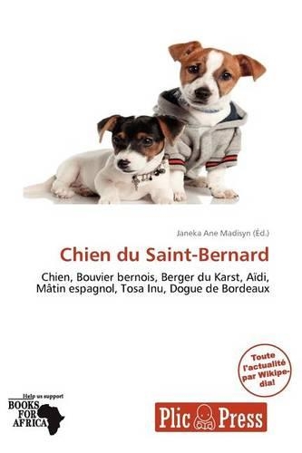 Chien Du Saint-Bernard
