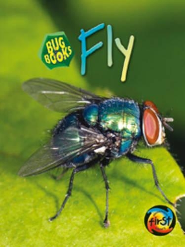 Fly: (Bug Books)
