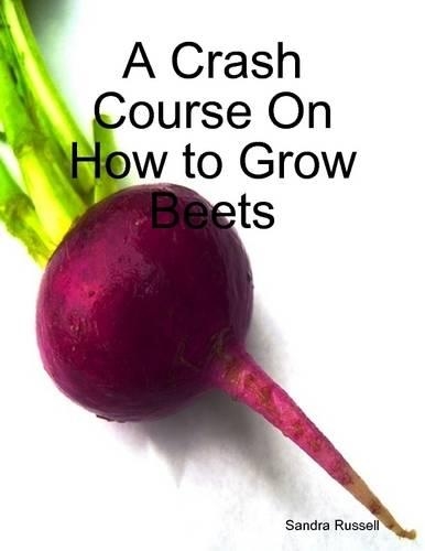 A Crash Course On How to Grow Beets
