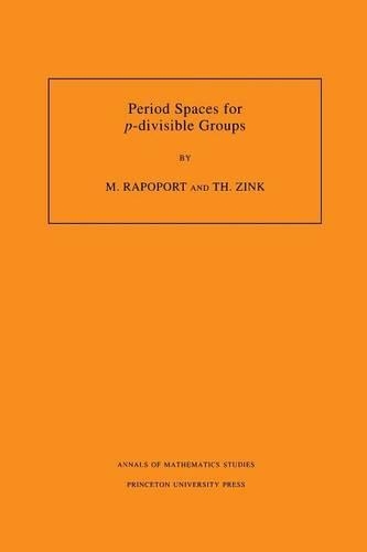 Period Spaces for p-divisible Groups