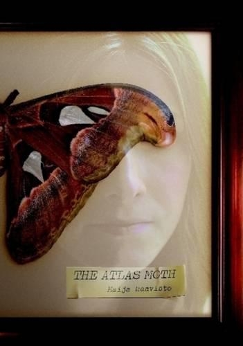 The Atlas Moth