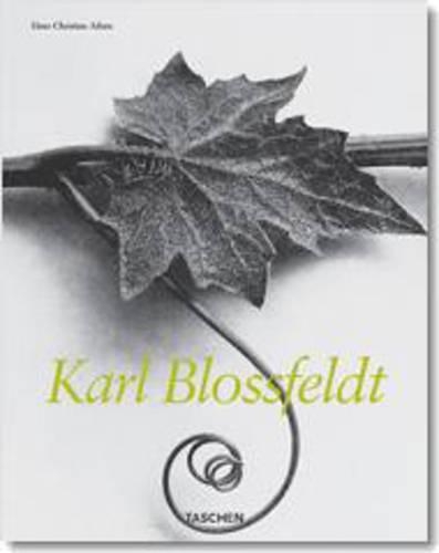 Karl Blossfeldt