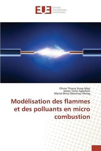 Modélisation Des Flammes Et Des Polluants En Micro Combustion: (Omn.Univ.Europ.)