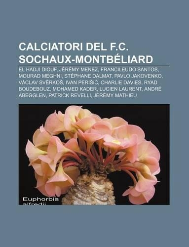 Calciatori del F.C. Sochaux-Montbeliard: El Hadji Diouf, Jeremy Menez, Francileudo Santos, Mourad Meghni, Stephane Dalmat, Pavlo Jakovenko