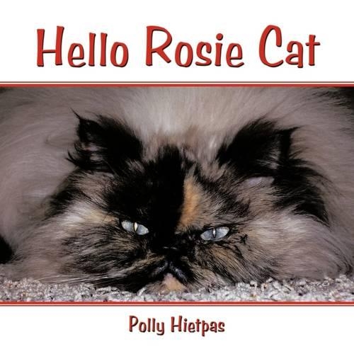 Hello Rosie Cat