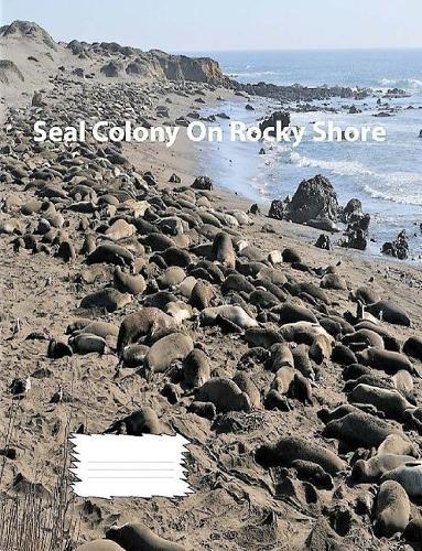 Seal Colony On Rocky Shore collegeruledlinepaper Composition Book: Seal fans, composition book to keep notes, school suppies, journal used for notes, student and teacher use