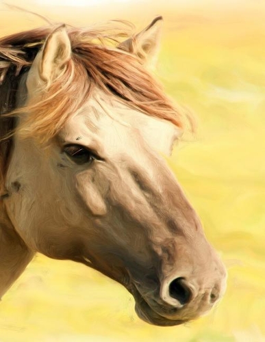 Horse Notebook: 8.5 X 11 202 Wide Ruled Pages