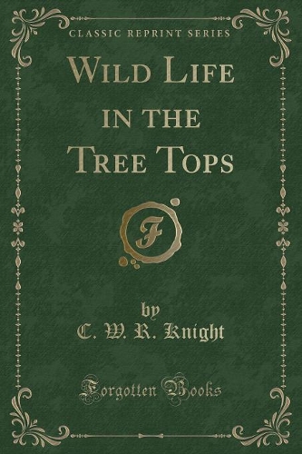 Wild Life in the Tree Tops (Classic Reprint)