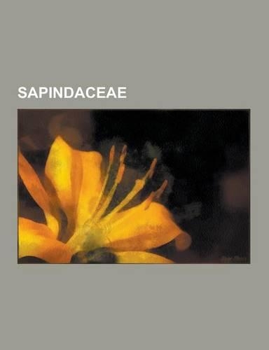 Sapindaceae: Aceraceae, Ackee, Aphania, Atalaya Salicifolia, Athyana, Blighia, Bridgesia, Cardiospermum, Cardiospermum Halicacabum,