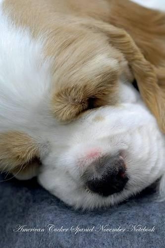 American Cocker Spaniel November Notebook American Cocker Spaniel Record, Log, Diary, Special Memories, To Do List, Academic Notepad, Scrapbook & More