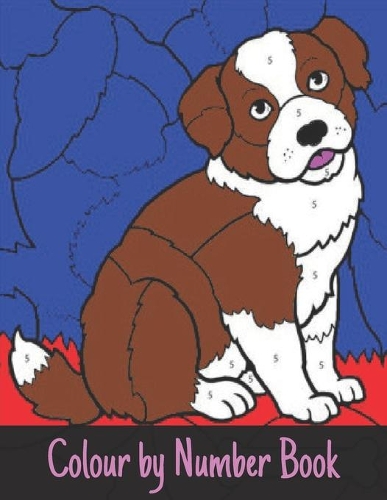 Colour by Number Book: 60 Color By Number Large Print Designs of Animals, Birds, Flowers and Patterns Fun and Stress Relieving Coloring By Numbers Book