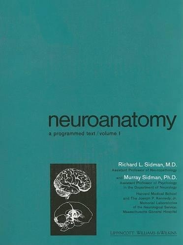 Neuroanatomy