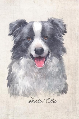 Border Collie Dog Portrait Notebook