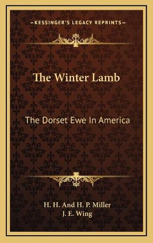 The Winter Lamb
