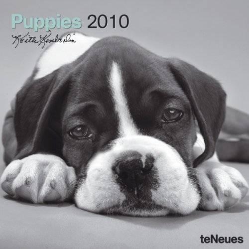 2010 Puppies Grid Calendar