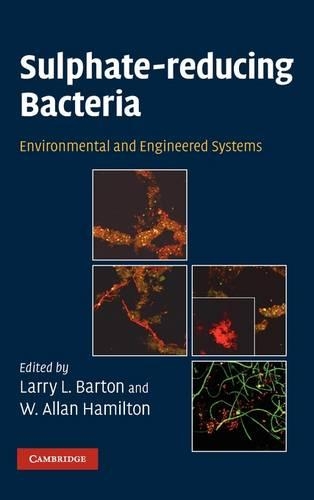 Sulphate-Reducing Bacteria