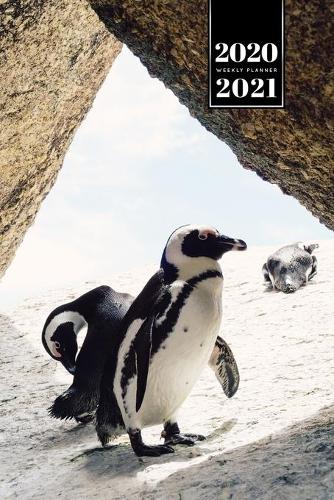 Penguin Puffin Antarctica Seabird Week Planner Weekly Organizer Calendar 2020 / 2021 - In the Caves: Cute Wildlife Animal Pet Bullet Journal Notebook Diary in 6" x 9" Inch Pocket Size
