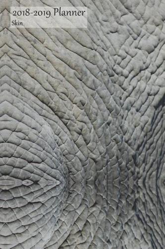 2018-2019 Planner Skin