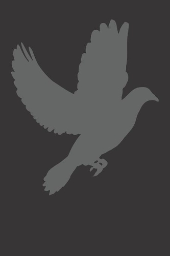 Notebook: College Ruled 6x9 120 Pages Dove Birdwatching Gift Pigeon Cool