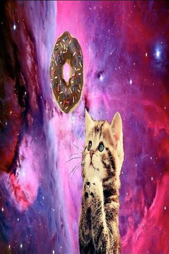 Funny Donut Cat Journal