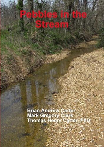 Pebbles in the Stream