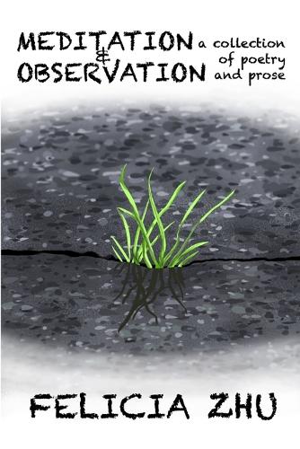 Meditation and Observation: A Collection of Poetry and Prose