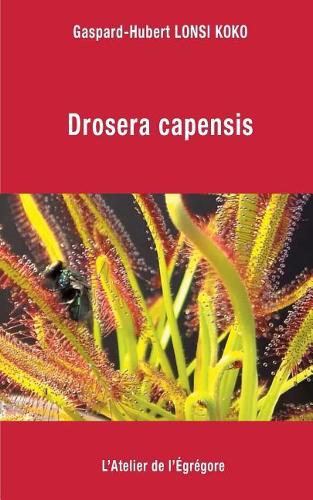 Drosera Capensis
