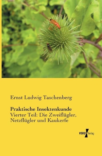 Praktische Insektenkunde: Vierter Teil: Die Zweiflügler, Netzflügler und Kaukerfe